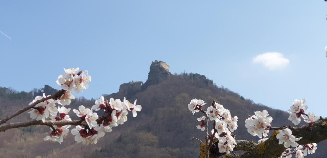Donauwirt - Hotel Garni Вайсенкірхен-ін-дер-Вахау Екстер'єр фото