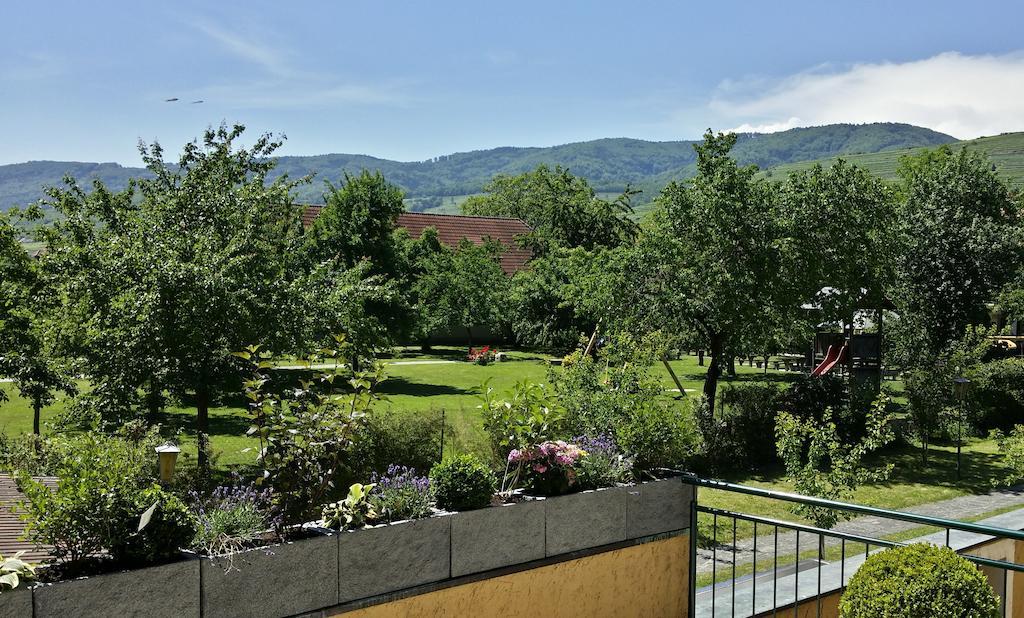 Donauwirt - Hotel Garni Вайсенкірхен-ін-дер-Вахау Екстер'єр фото