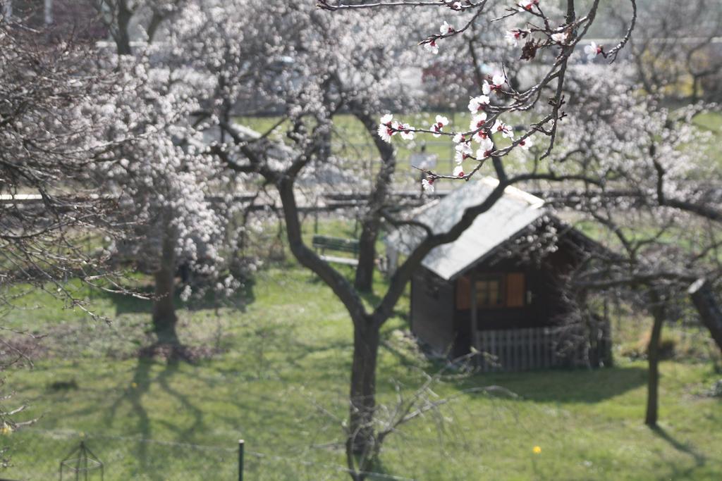 Donauwirt - Hotel Garni Вайсенкірхен-ін-дер-Вахау Екстер'єр фото